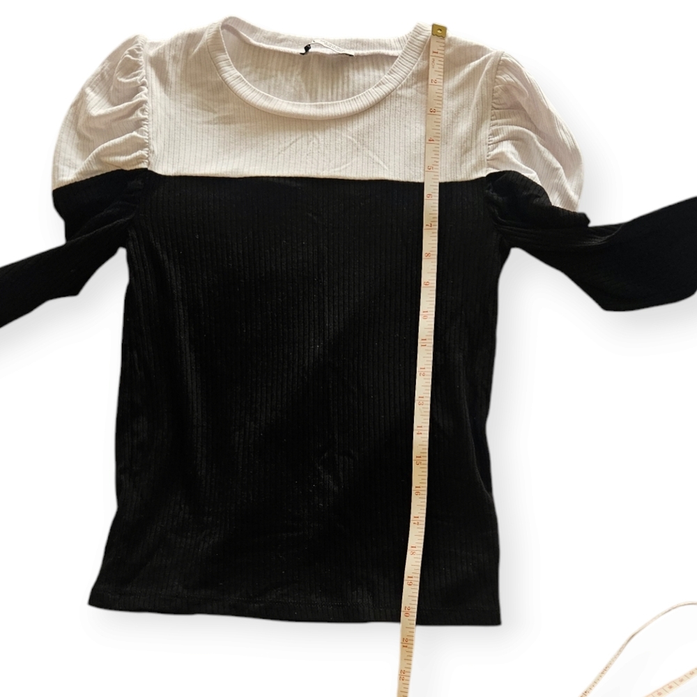 Zara Colorblock Top - Picture 6 of 9